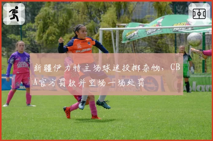 新疆伊力特主场球迷投掷杂物，CBA官方罚款并空场一场处罚