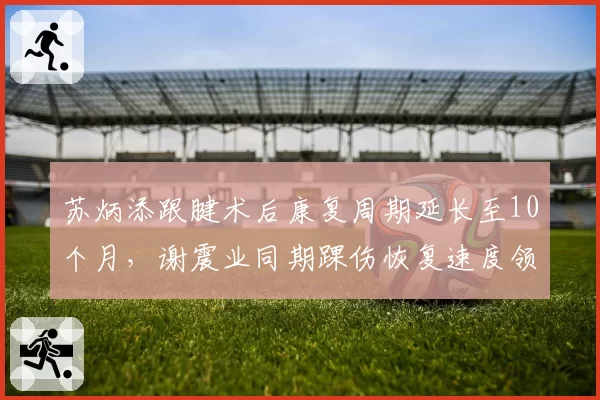 苏炳添跟腱术后康复周期延长至10个月，谢震业同期踝伤恢复速度领先30%