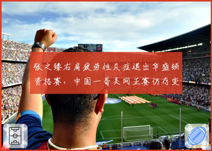 张之臻右肩疲劳性炎症退出华盛顿资格赛，中国一哥美网正赛仍存变数