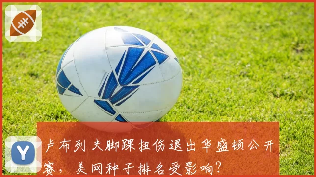 卢布列夫脚踝扭伤退出华盛顿公开赛，美网种子排名受影响？