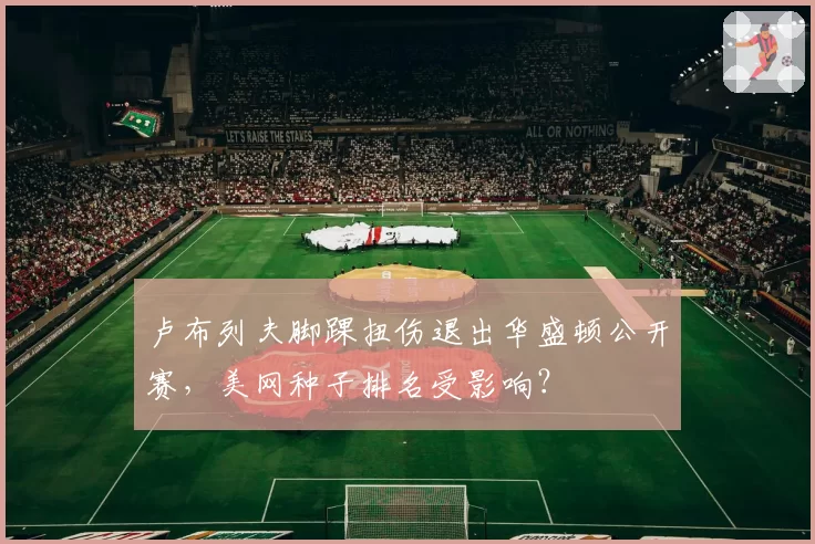 卢布列夫脚踝扭伤退出华盛顿公开赛，美网种子排名受影响？