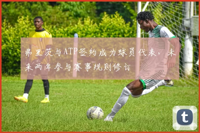 弗里茨与ATP签约成为球员代表，未来两年参与赛事规则修订
