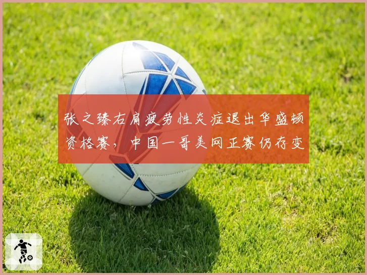 张之臻右肩疲劳性炎症退出华盛顿资格赛，中国一哥美网正赛仍存变数