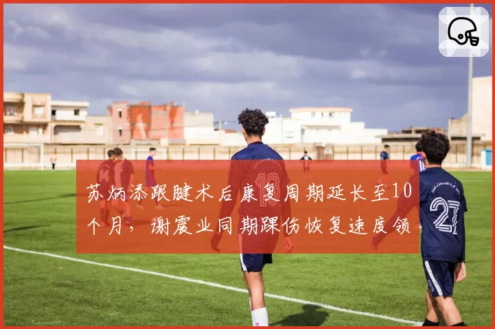 苏炳添跟腱术后康复周期延长至10个月，谢震业同期踝伤恢复速度领先30%